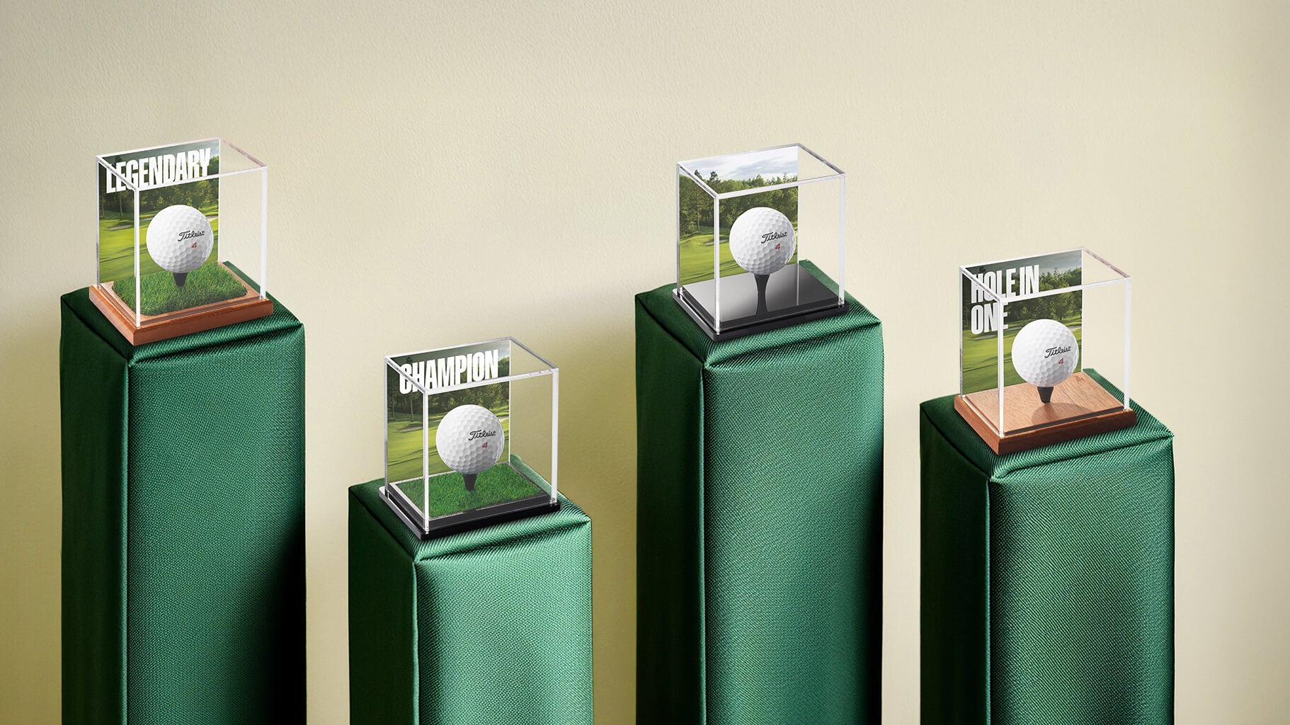 Display Champ Masters 2025 Competition Giveaway