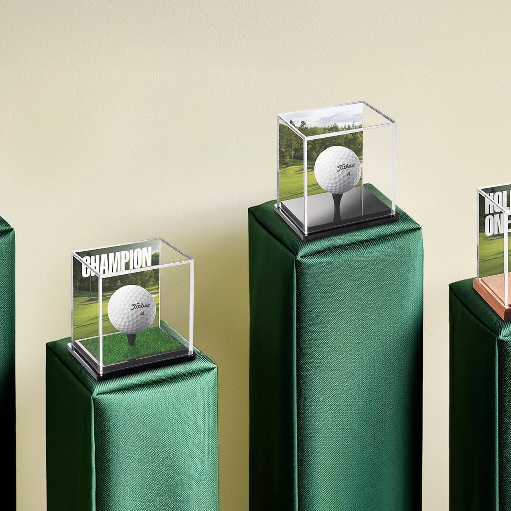 Display Champ Masters 2025 Competition Giveaway