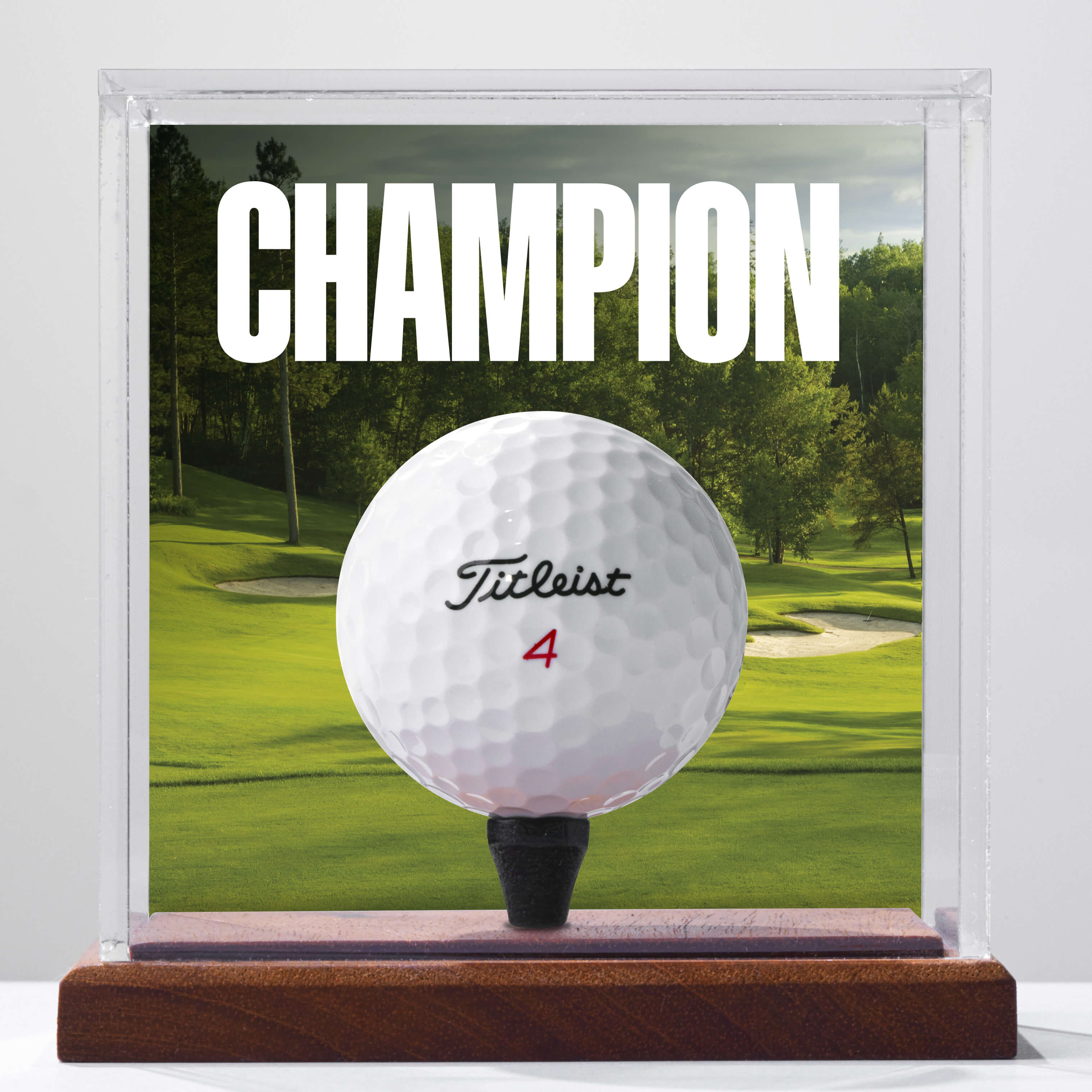 preview of the heritage champion uv engraving app view