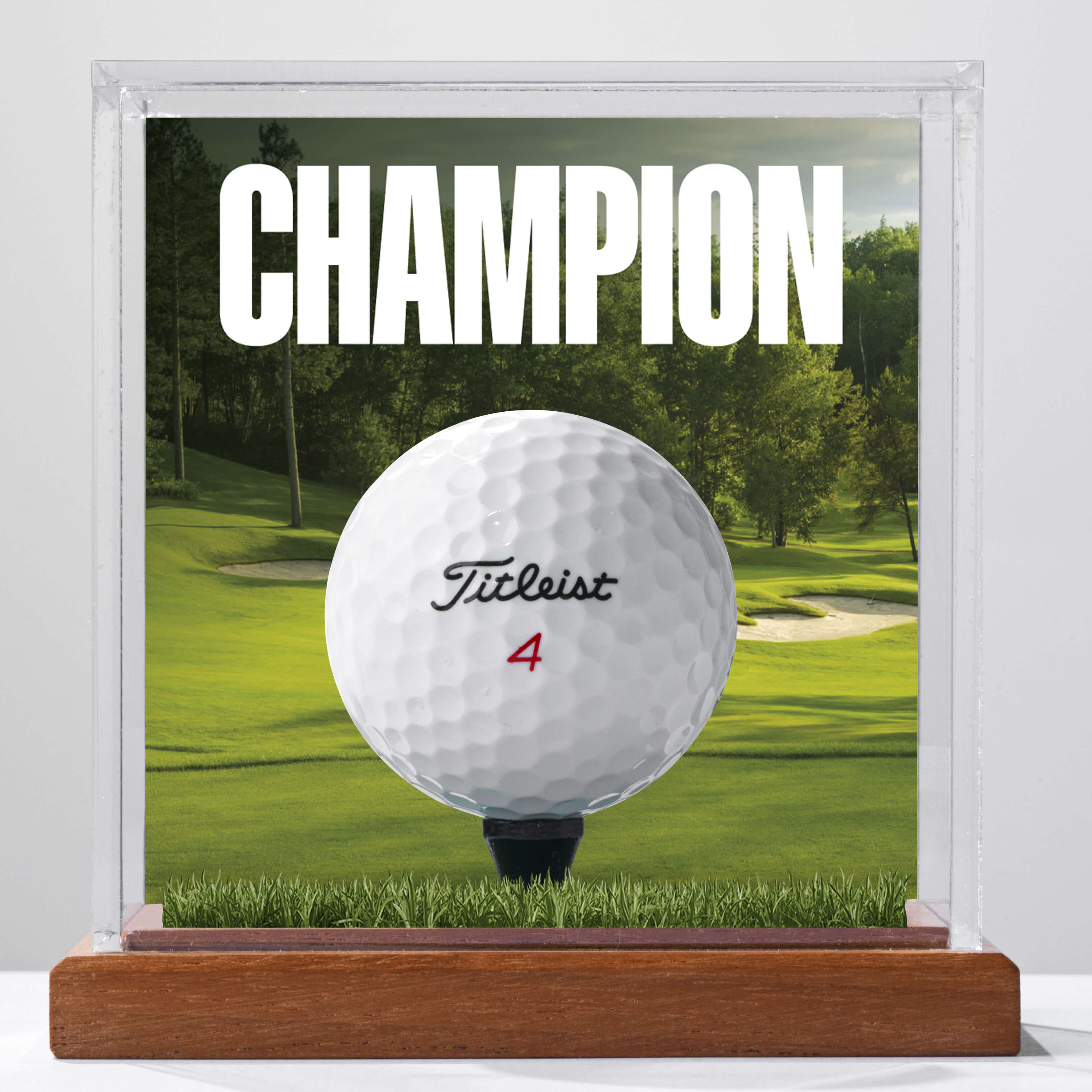 preview of prestige champion uv engraving app view