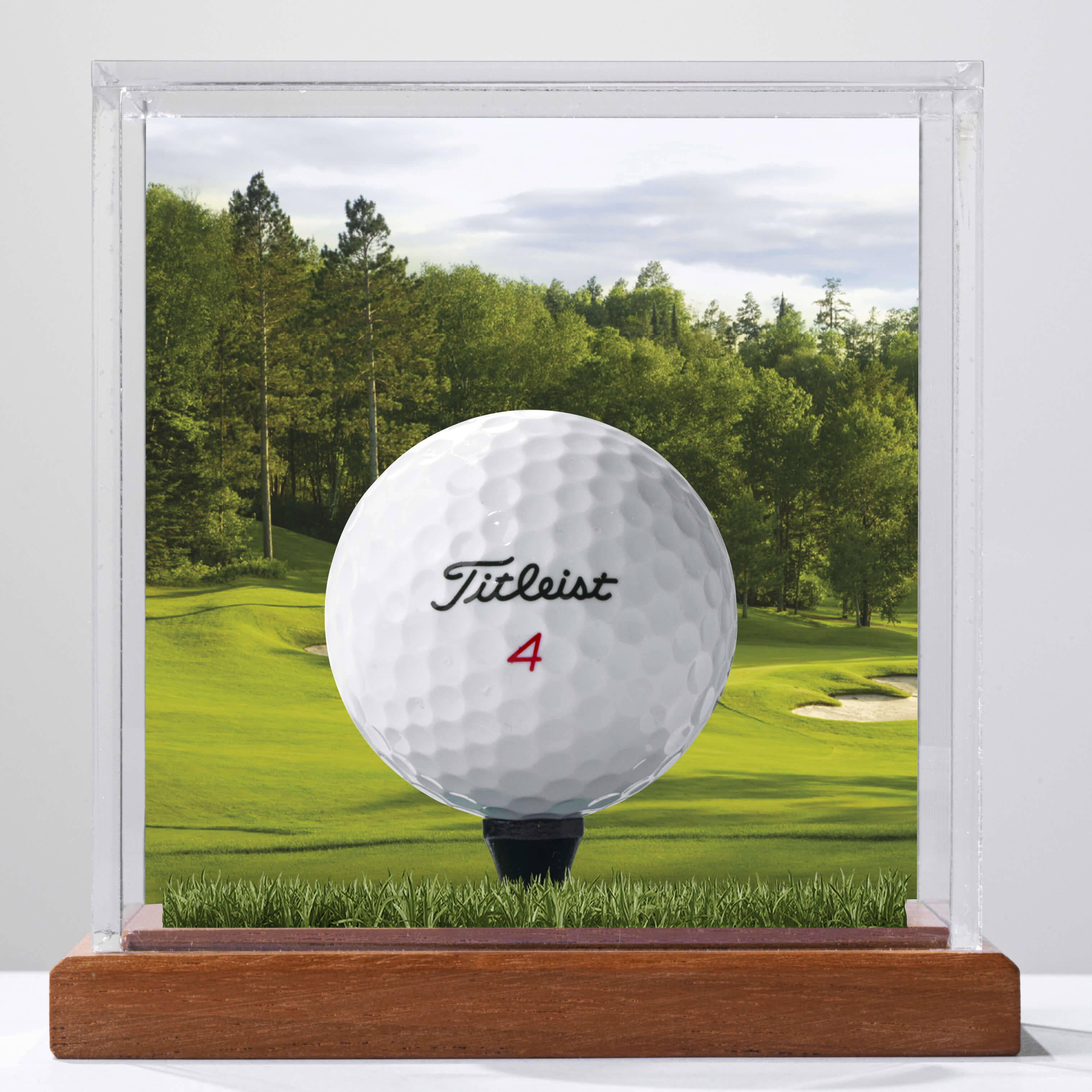 preview of prestige golf course engraving app view