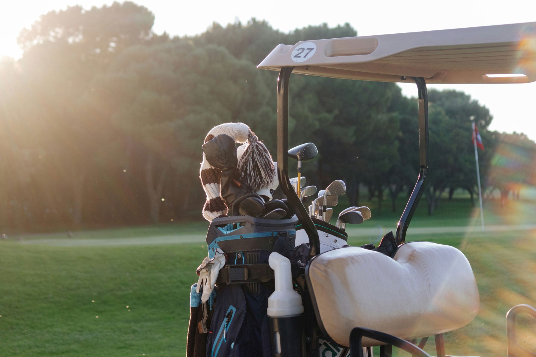 Golf Bag on Cart 