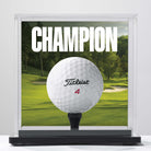 preview icon champion app view